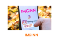 Imginn main image