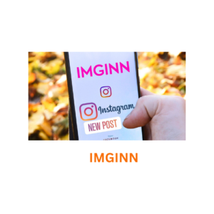 Imginn main image